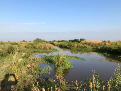 Santiago del estero campo