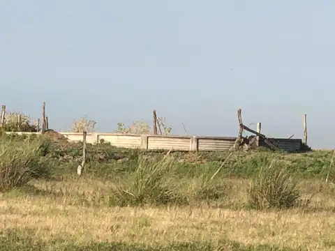 Santiago del estero campo