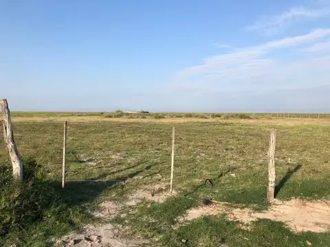 Campo en Santiago del Estero apto para explotación ganadera  (2200 ha)