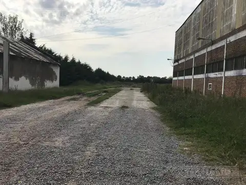 Galpon en Alquiler 60 años