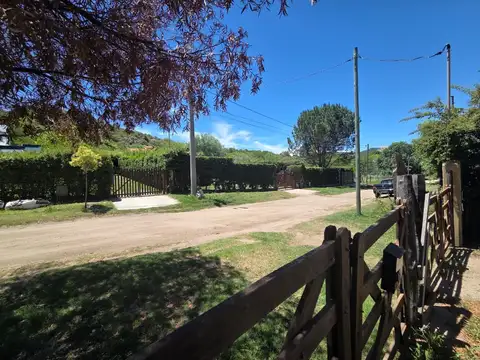LOS PIQUILLINES 100