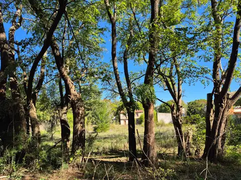 Terreno en Venta en Chascomus, USD 120.000