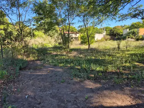 Lobos