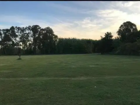 Doctor Patricio Brenan y San Martin