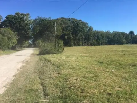 Terreno en Venta de 705,0 m2