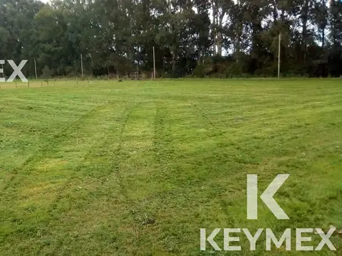 Terreno en Venta de 1250,0 m2
