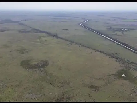 Ruta 65