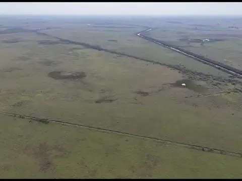 1000 hectareas ganaderas sobre ruta