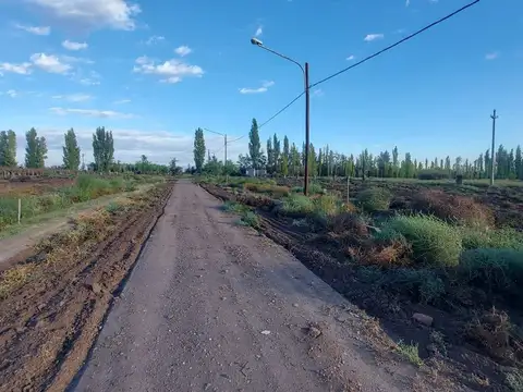 VENTA LOTES LA COLONIA JUNIN MENDOZA