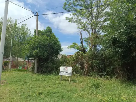 Lote  con 12 metros de frente sobre Boulevard