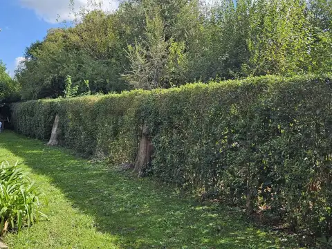 Quinta en Venta sobre Doble Lote – Barrio La Alborada, Presidente Derqui,  zona Hospital AUSTRAL