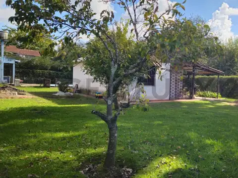 Las Magnolias y Las Casuarinas 9200, Piso 0
