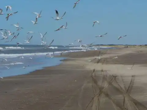 Terreno en Venta de 1347,0 m2