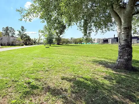 Terreno en Venta 60  mts Fondo