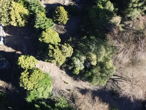 Terreno en Venta 56  mts Frente