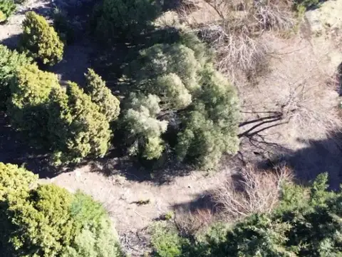 Terreno en Venta 56  mts Fondo