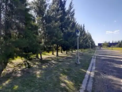 Terreno en Venta 39  mts Fondo