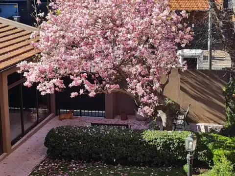 Navarro 4200, Piso 0