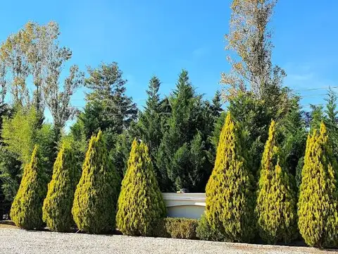 Terreno en venta en Caamaño al 900