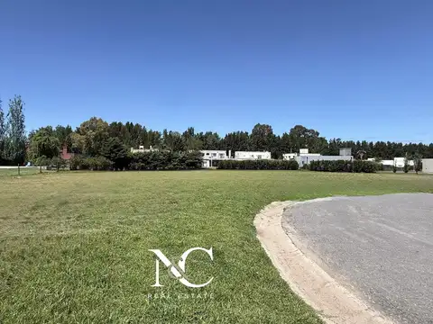 Don Joaquin Lote al 100