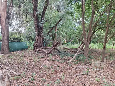 Terreno en Venta 32  mts Fondo