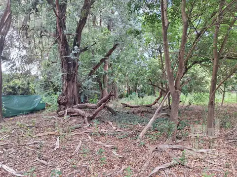 Terreno en Venta de 385,0 m2