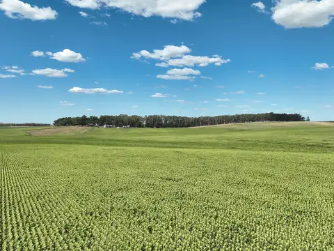 Campo en Venta de 851  ha