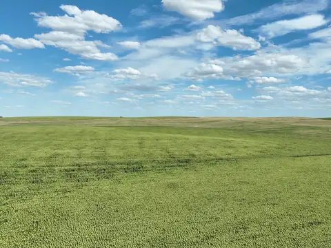 Campo en Venta de 851  ha