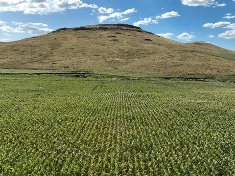 851 Has. Campo Agrícola en Tandil