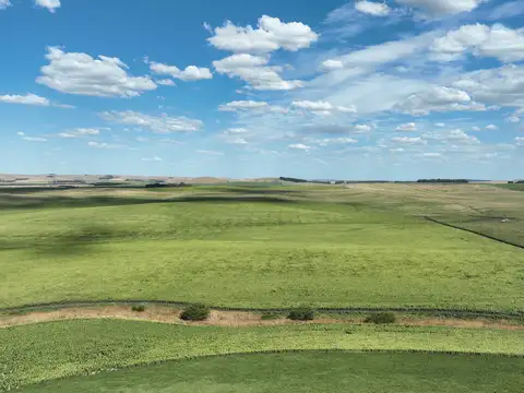 851 Has. Campo Agrícola en Tandil