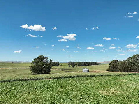 851 Has. Campo Agrícola en Tandil