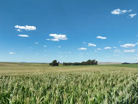 851 Has. Campo Agrícola en Tandil