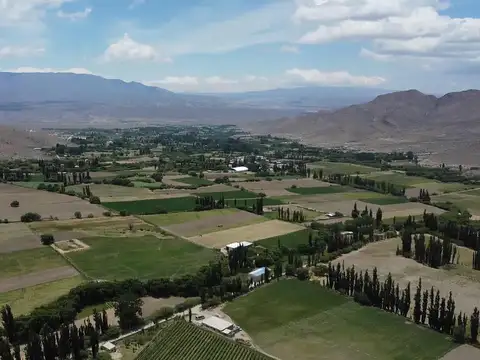 Finca en  Venta en Cachi