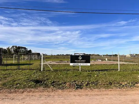 141 E/642 Y 643 Arana