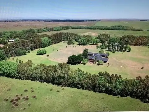 Campo en Ruta 11, km 360