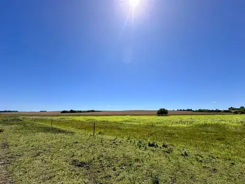 VENTA CHACRA 10 HECTAREAS, A MTS. DE RUTA 90