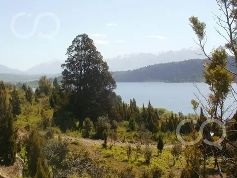HECTAREA con mejoras, Ruta 15, CHOLILA, Chubut,  Lago Pellegrini / Lago Mosquito PERMUTA VENTA, lote/ chacra/ fracción/ hectárea/ campo