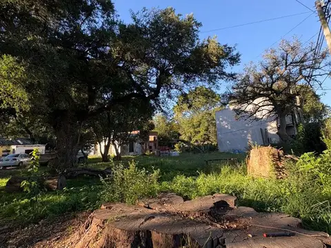 Terreno en Venta en San Miguel del Monte, USD 450.000