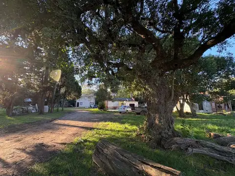 Av. las Victorias 300