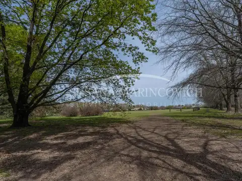 Terreno en Venta de 2259,0 m2