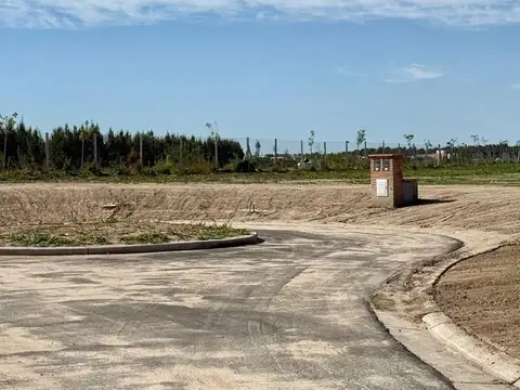 Terreno Lote  en Venta en Silvestre, Nordelta, Tigre