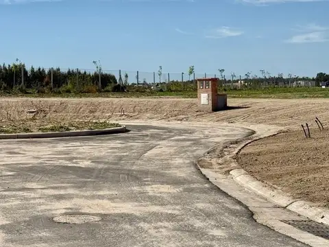 silvestre Nordelta 100