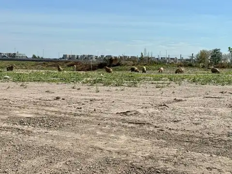 Terreno en Venta de 724,0 m2