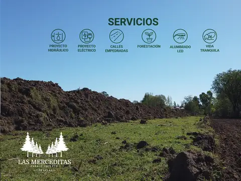 Barrio Las Merceditas