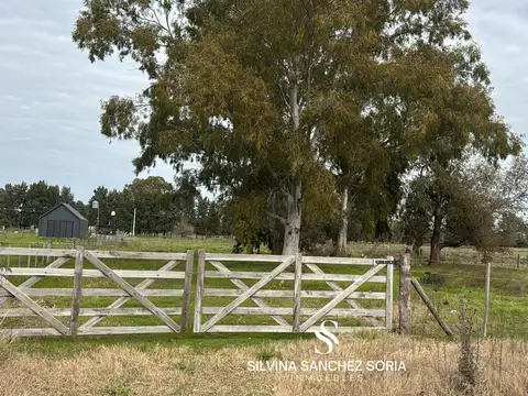 TERRENO DE 8000 M2 EN ARROYO DE LA CRUZ, CAPILLA DEL SEÑOR