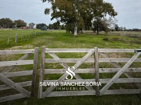 TERRENO DE 8000 M2 EN ARROYO DE LA CRUZ, CAPILLA DEL SEÑOR