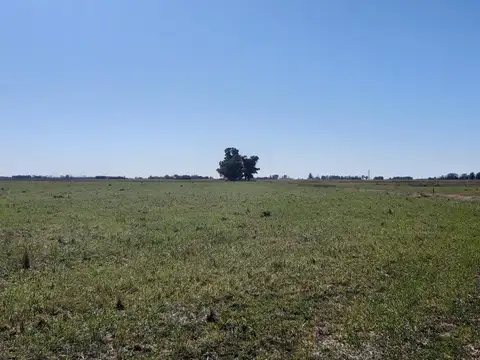 Venta Campo en Fighiera