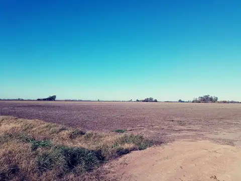 CAMPO  en FIGHIERA .