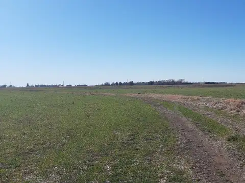 Venta Campo en Fighiera