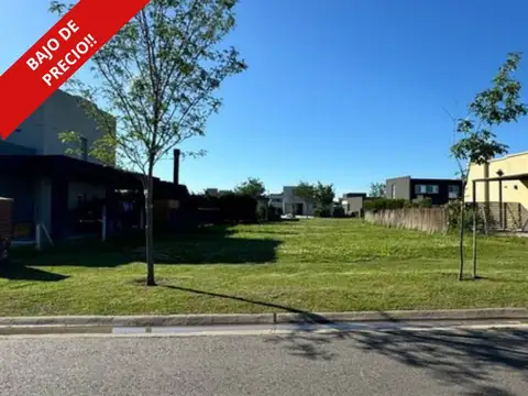 LOTE en SAN RAMON PILAR DEL ESTE Excel. Ubicación!